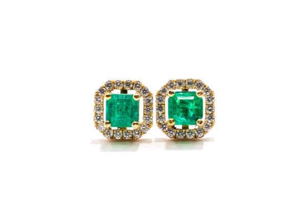 HN Fashion Earrings